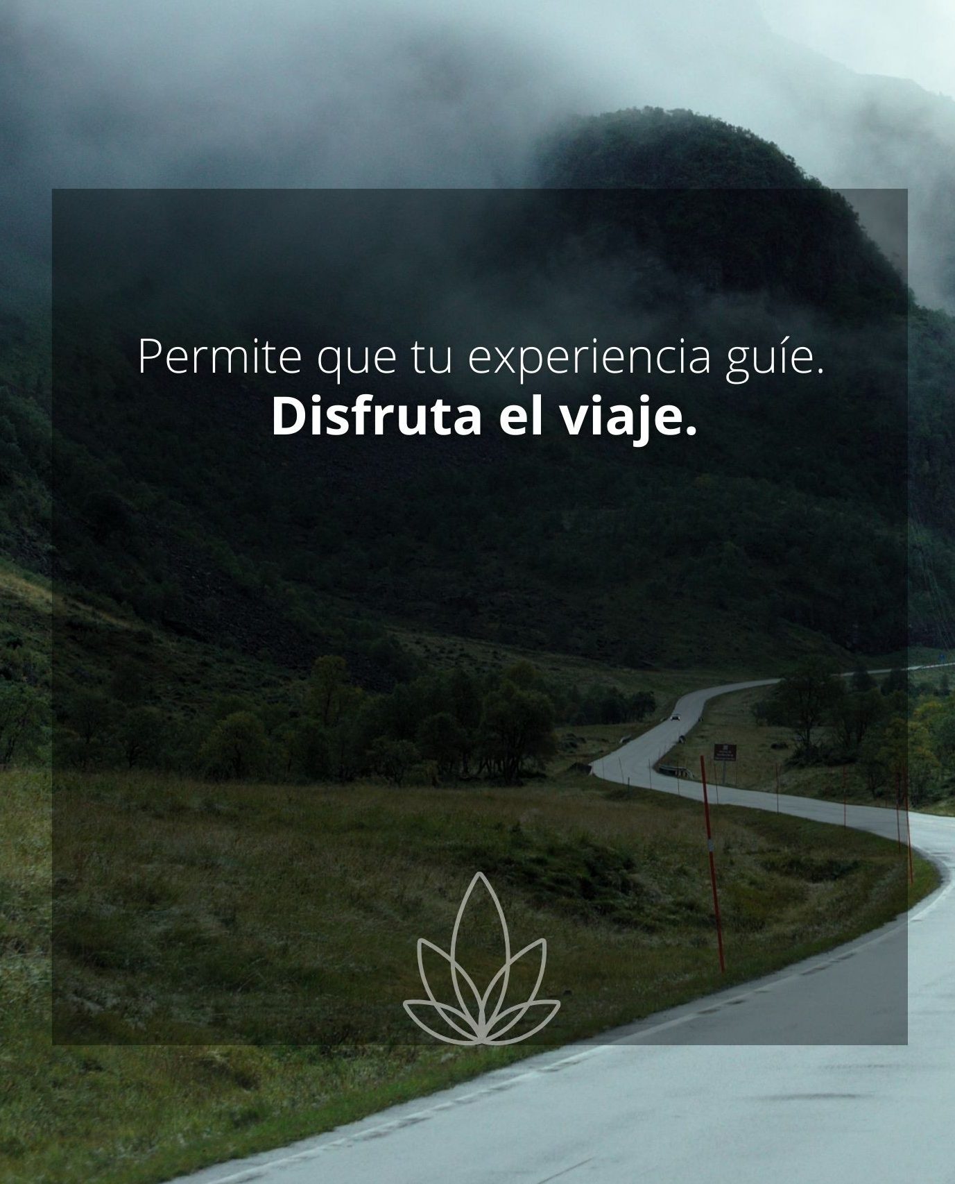 yoga y naturaleza 3 ok